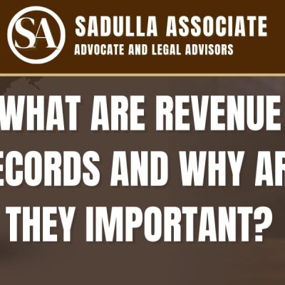 What Are Revenue Records and Why Are They Important